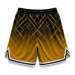 Custom Sublimated Mesh Basketball Shorts