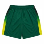 Custom Gradient Basketball Shorts
